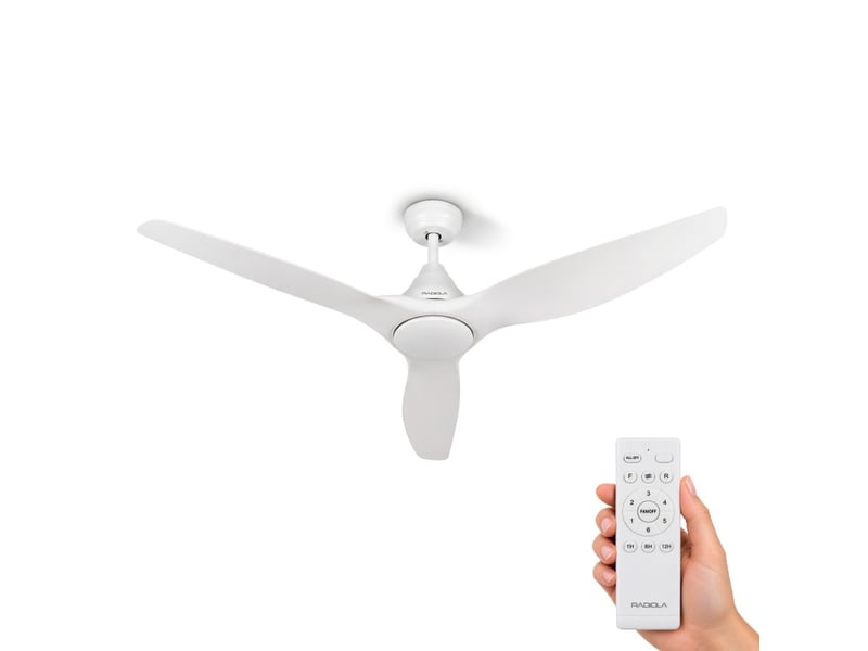  Radiola - brasseo 132 - blanc - brasseur d'air plafond - 6 vitesses - mode été et hiver - télécommande  - Conforama A