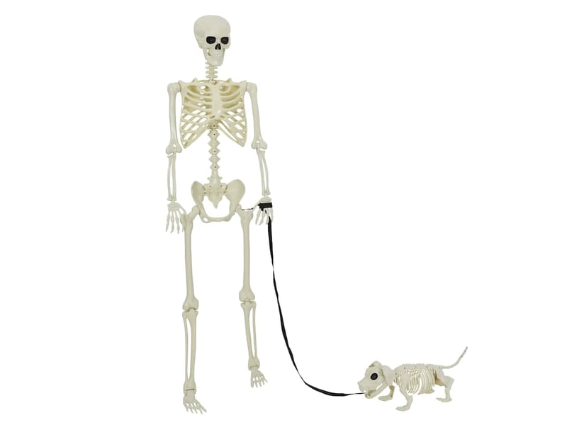  Squelette de décoration halloween 2 pc blanc 155 x 38.5 cm cf61973  - Conforama A
