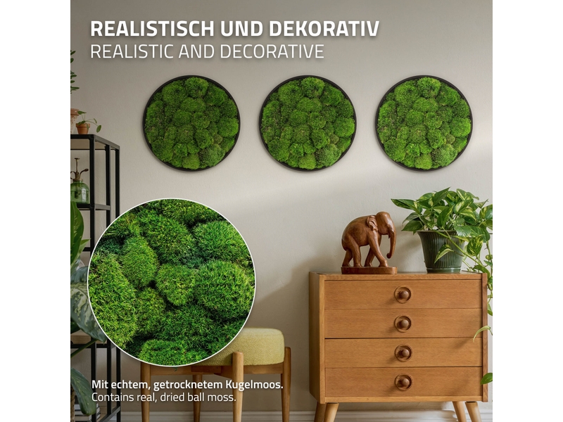  Ecd germany tableau en mousse boule stabilisée véritable, forme ronde ø 40 cm, vert, décoration murale végétale d'intérieur, cadre en mdf, sans arrosage ni entretien, effet 3d, pièce unique ECD Germany GmbH - Conforama C