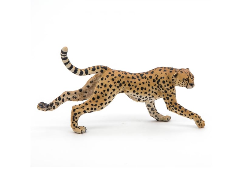  Guépard courant papo figurine 50238 - Conforama C