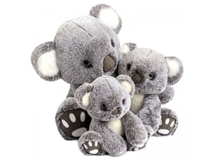 Histoire d'ours koala 25 cm ho2969