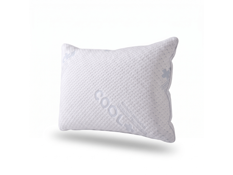  Oreiller moelleux 100% plume de canard - 30x50 cm - housse frais - collection plume frais C07-ORP07 50/30 - Conforama A