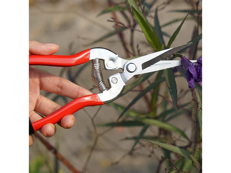 Sécateur, ciseaux tout usage, sécateur outil de coupe, adapté à la taille des branches dans le jardin et à la taille des fleurs(rouge) - Conforama D