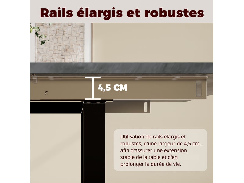  Table à manger extensible 140180220 x 80 cm, 6 à 10 personnes, coloris gris Jamama eleni - Conforama E