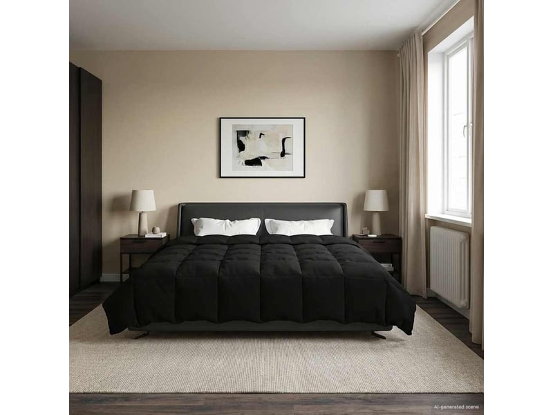 Couette - duvet d'été 220 x 240 cm été microfibre (100% polyester) noir - Conforama D