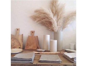 Ahlsen herbe de la pampa, 20 pièces, 60 cm, séchée naturellement, mariage, bouquet tendance, fleurs artificielles, pour décoration intérieur, vases intérieur
