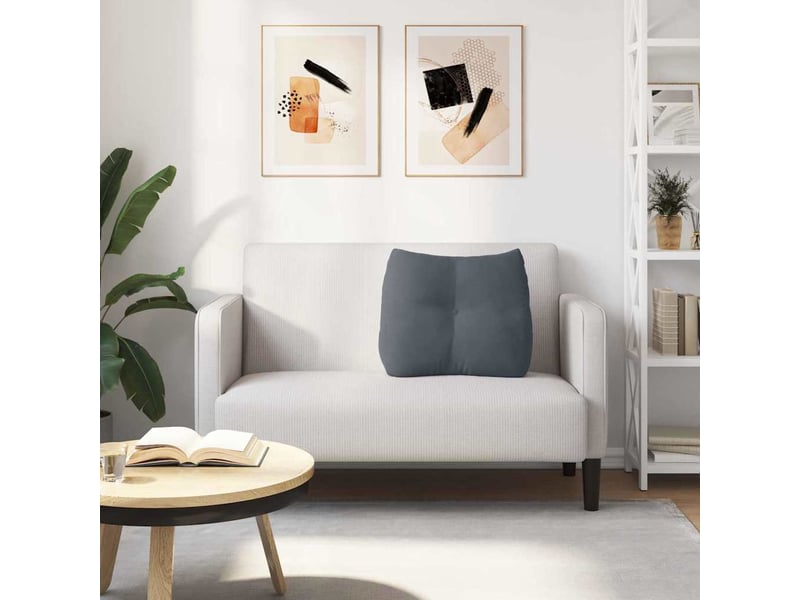  Coussin de dos, coussin de dossier gris foncé 60 x 24 x 50 cm velours cf54727  - Conforama D