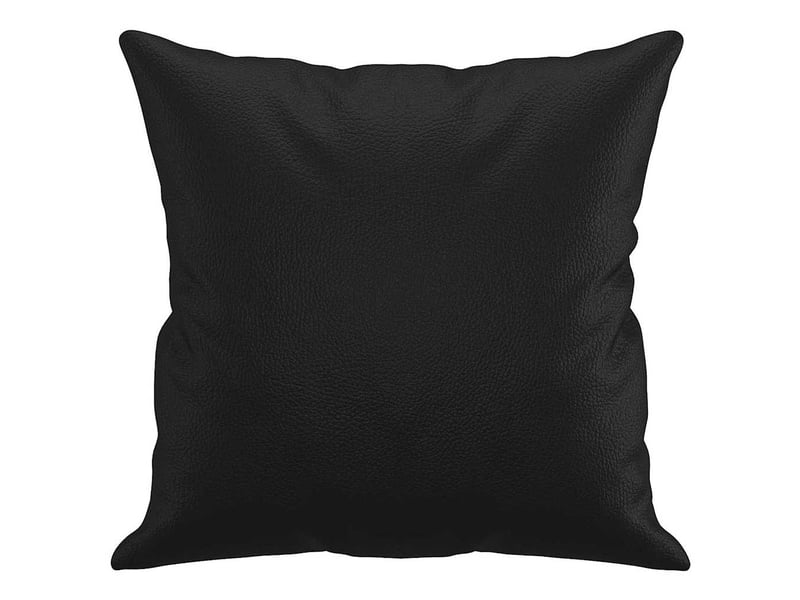  Lot de 2 coussins décoratifs noir 40x40 cm similicuir cf60879  - Conforama D