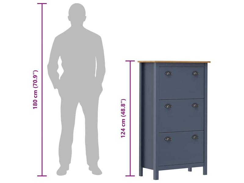  Meuble à chaussure, armoire à chaussures hill gris 72x35x124 cm bois de pin solide  - Conforama E