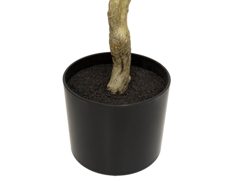  Arbuste euca or pot h120  - Conforama C