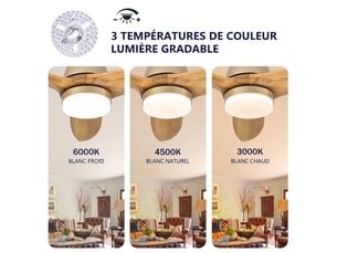 Ventilateur de table RAELUNYI  -  