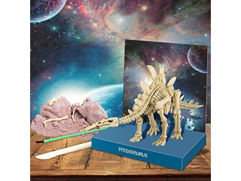  Deterre ton dinosaure stegosaurus 5663229 - Conforama E