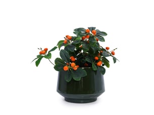 Lot de 3 pots de fleurs 38,12822,9 cm trou de drainage vert antique