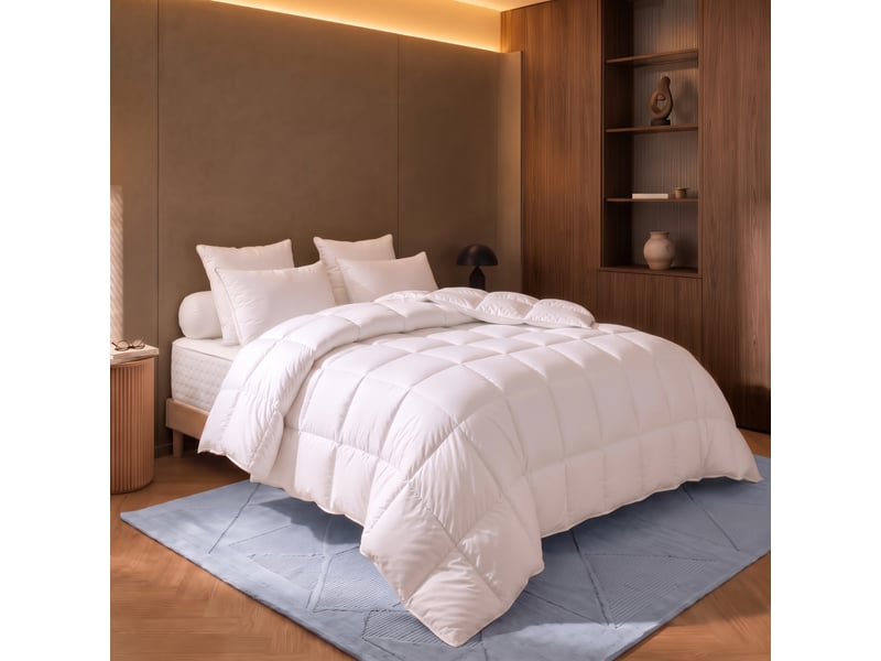  Dodo - couette 140x200 thermoduv canard - 90% duvet - chaude  - Conforama B