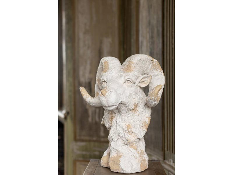  Tête de bélier extérieur rémi 58cm beige  - Conforama C