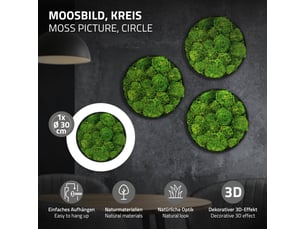 Ecd germany tableau en mousse boule stabilisée véritable, forme ronde ø 30 cm, vert, décoration murale végétale d'intérieur, cadre en mdf, sans arrosage ni entretien, effet 3d, pièce unique