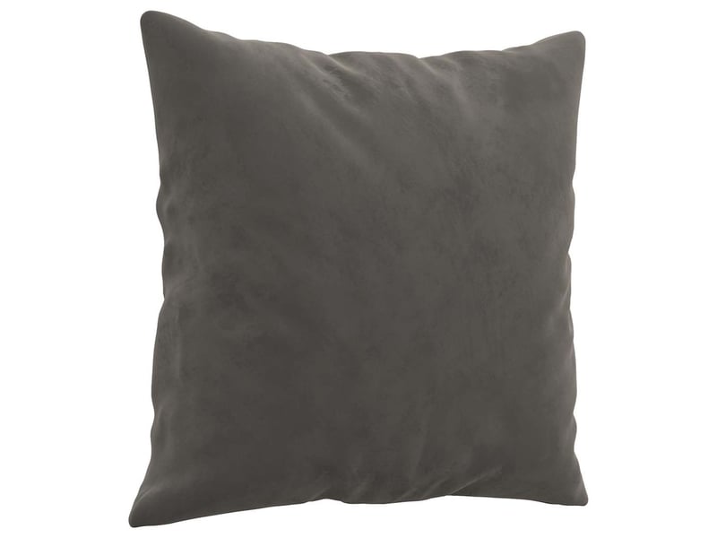 Lot de 2 coussins décoratifs gris foncé 40x40 cm velours cf60869  - Conforama C