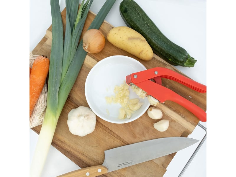  Hachoir à gingembre et à ail 2 en 1, facile à nettoyer, en acier inoxydable, adapté aux cuisines domestiques,facile à utiliser, ergonomique  - Conforama C