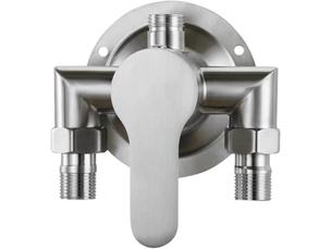 Robinet de douche mural en acier inoxydable 304, bec verseur supérieur, finition brossée