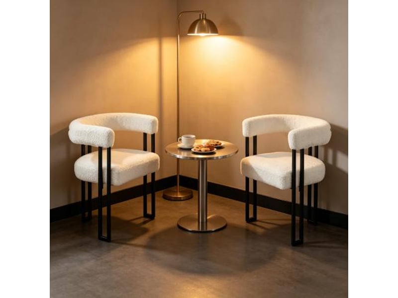  Chaise de lecture confortable, dossier et accoudoirs, lot de 2, salon et salle à manger, coloris café et maquillage  - Conforama D