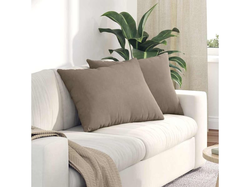 Lot de 2 coussins de canapé, coussins décoratifs tissu taupe 70 x 50 cm cf58966 - Conforama B
