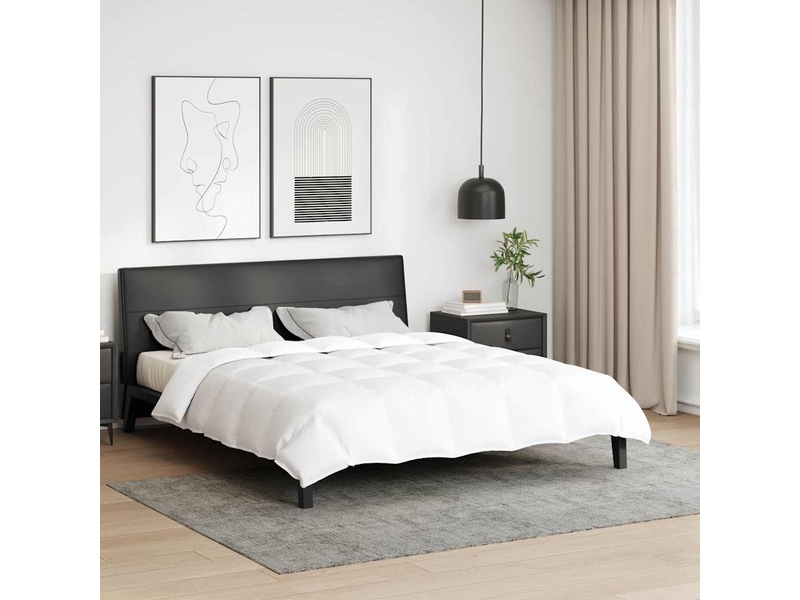  Couette - duvet d'été 260 x 220 cm été plume blanc respirant  - Conforama B