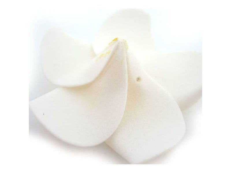  Lot de 100 pétales de frangipanier artificiels hawaïens en mousse blanche pour chapeau et cheveux-aquaforge  - Conforama C
