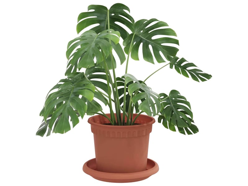 Jardinière - pots de plantes 24 pcs rouge brique plastique - Conforama C
