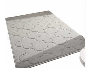 Tapis d'entrée intérieur 50x80 cm, antidérapant, lavable en machine, adapté pour porte, cuisine, chambre, et couloir