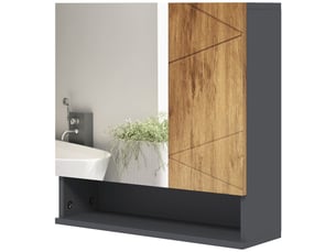 Armoire murale miroir de salle de bain placard de rangement 2 portes 55 x 17 x 55 cm naturel gris foncé