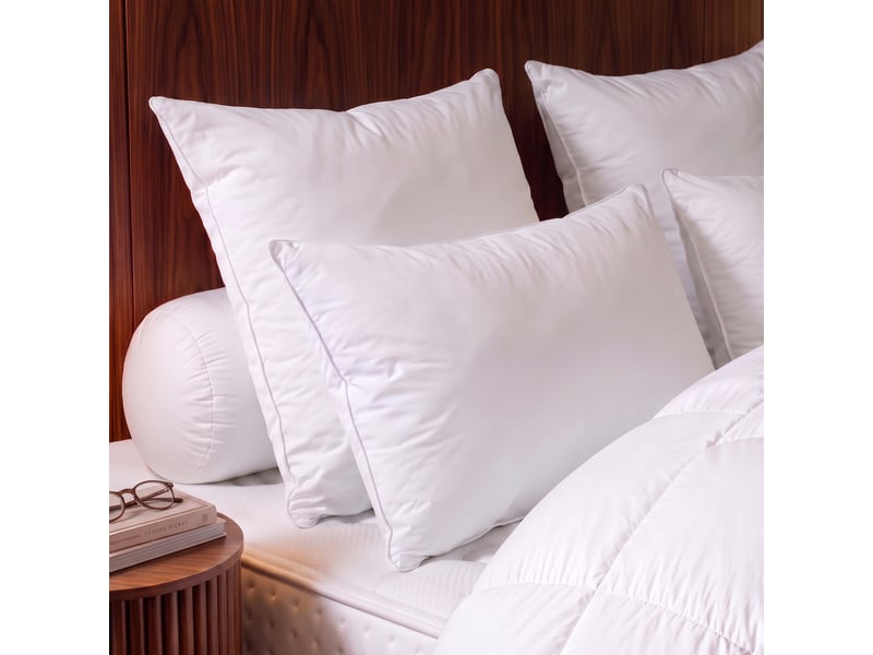  Dodo - oreiller 60x60 tradition canard - 50% duvet - medium  - Conforama B
