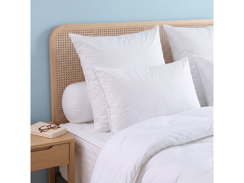  Dodo - oreiller 60x60 fraîcheur réversible - medium  - Conforama B
