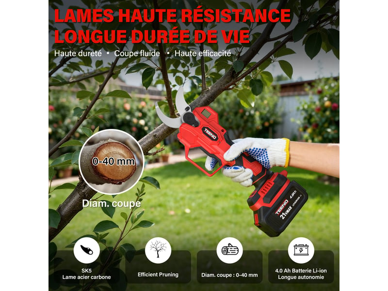  Mini‑scie sans fil 600 w 6 pouces + sécateur électrique 40 mm, 2 batteries 4,0 ah incluses  - Conforama B