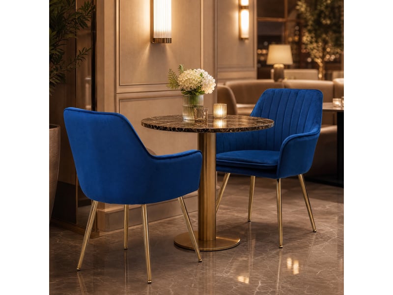 Lot de 2 chaises de salle à manger avec accoudoirs et coussin amovible en tissu bleu - Conforama C