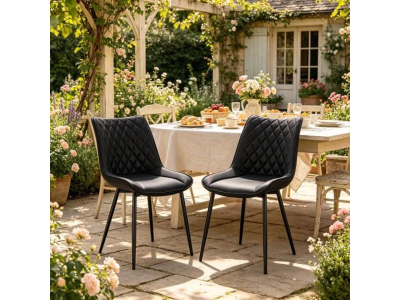  Chaise de salle à manger moelleuse et rembourrée – chaise d’accent unique pour salon, chaise de bureau (2 pièces uniquement)  - Conforama E