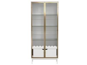 Vitrine coloris doré - x