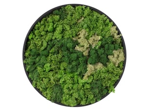 Ecd germany tableau en mousse de renne stabilisée véritable, forme ronde ø 30 cm, vert, décoration murale végétale d'intérieur, cadre en mdf, sans arrosage ni entretien, effet 3d, pièce unique