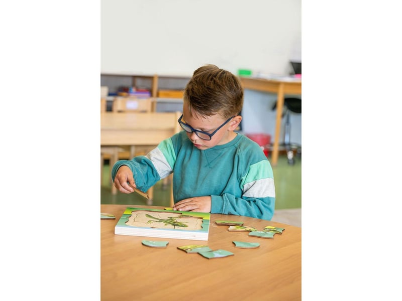  Educo dans la forêt - la grenouille pousse  31 pièces de puzzle 8719924063344 - Conforama E