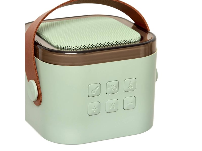 Set karaoké kara avec enceinte portable et 2 micros vert KARA - Conforama D