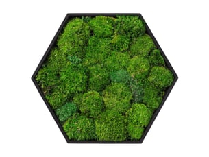 Ecd germany tableau en mousse boule stabilisée véritable, forme hexagonale 38 x 34 cm, vert, décoration murale végétale d'intérieur, cadre en bois, sans arrosage ni entretien, effet 3d, pièce unique