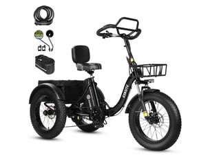 Tricycle électrique 20 eskute t302pro, 48v 250w 20.8ah, noir