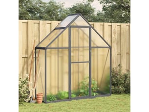 Serre de jardin avec cadre de base anthracite 169x58x195 cm aluminium