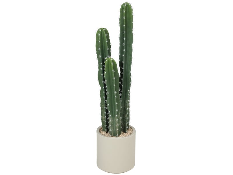  Plante artificielle cactus 22x22x95 cm avec pot vert  - Conforama A