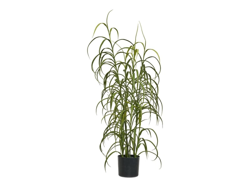  Dracaena décoratif artificiel hauteur 68cm - caena CAENA - Conforama A