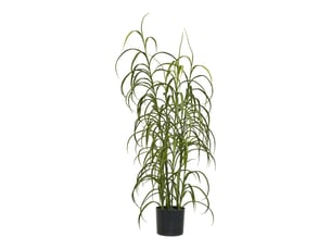 Dracaena décoratif artificiel hauteur 68cm - caena