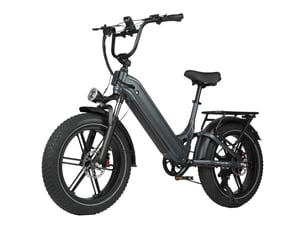 Maxtron camel vélo électrique fat bike 20 po, batterie 48v 18ah, gris