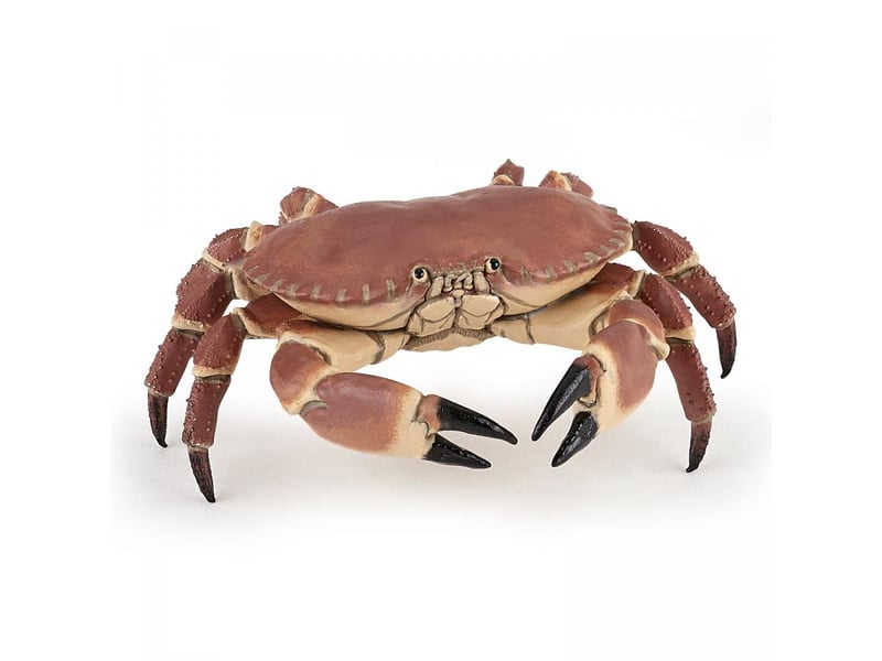  56047 - crabe figurine papo 56047 - Conforama E