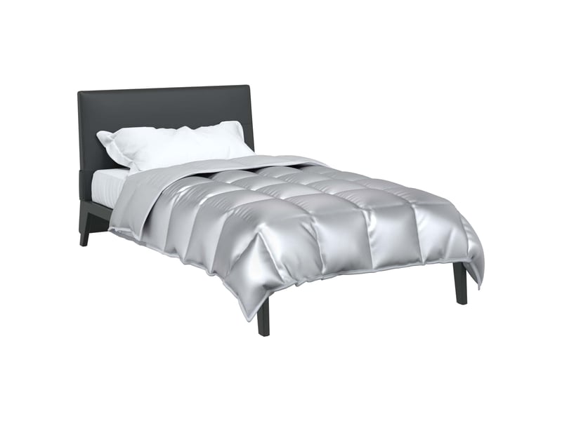  Duvet d'hiver - couette 155 x 200 cm 450 gm² argenté  - Conforama C