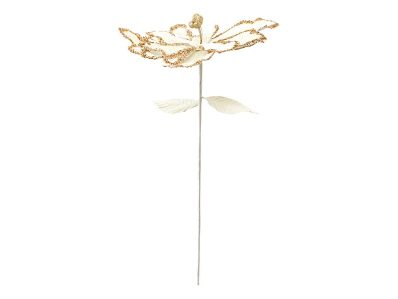  Bch poinsettia beige paill h75  - Conforama A