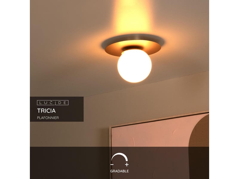 Plafonnier diam. 25 cm 1xe27 or mat laiton - lucide - tricia  - Conforama C